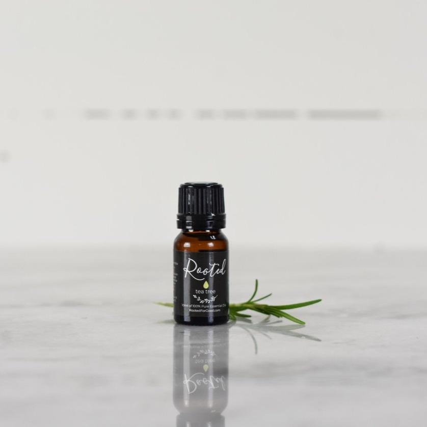 tea tree and lavender oil for skin Tea Tree Essential Oil – Rahab's Rope