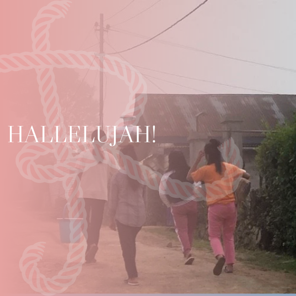 Let every living, breathing creature praise God! Hallelujah!