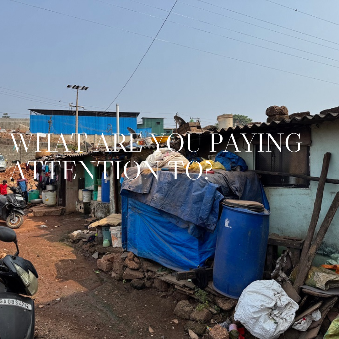 What are You Paying Attention To?