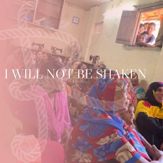 I Will Not Be Shaken