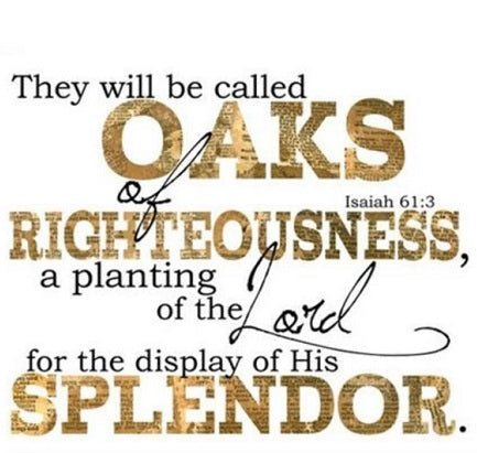 Splendor!