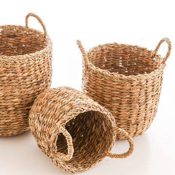 Twisted Leaf Hogla Basket Medium