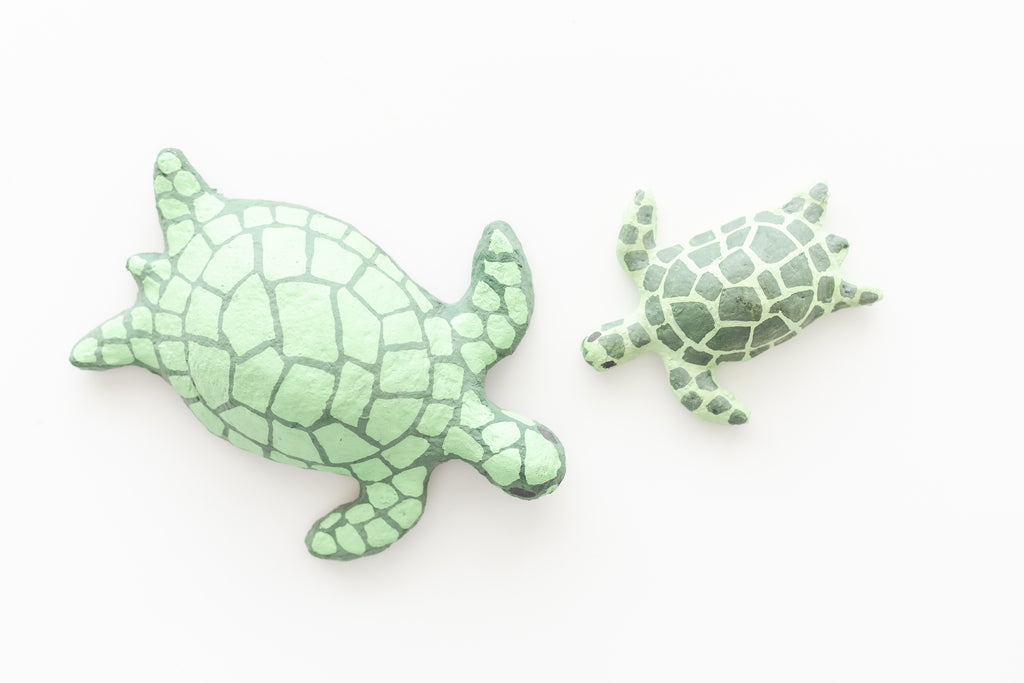 Small Sea Turtle