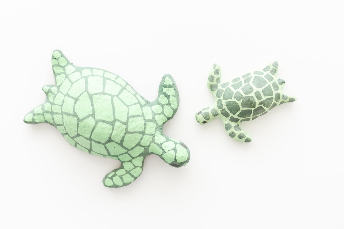 Small Sea Turtle