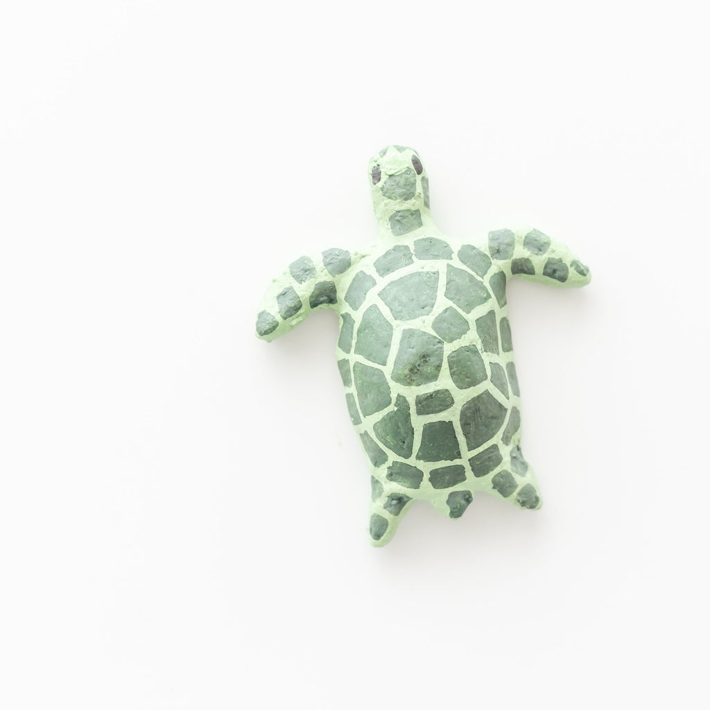 Small Sea Turtle
