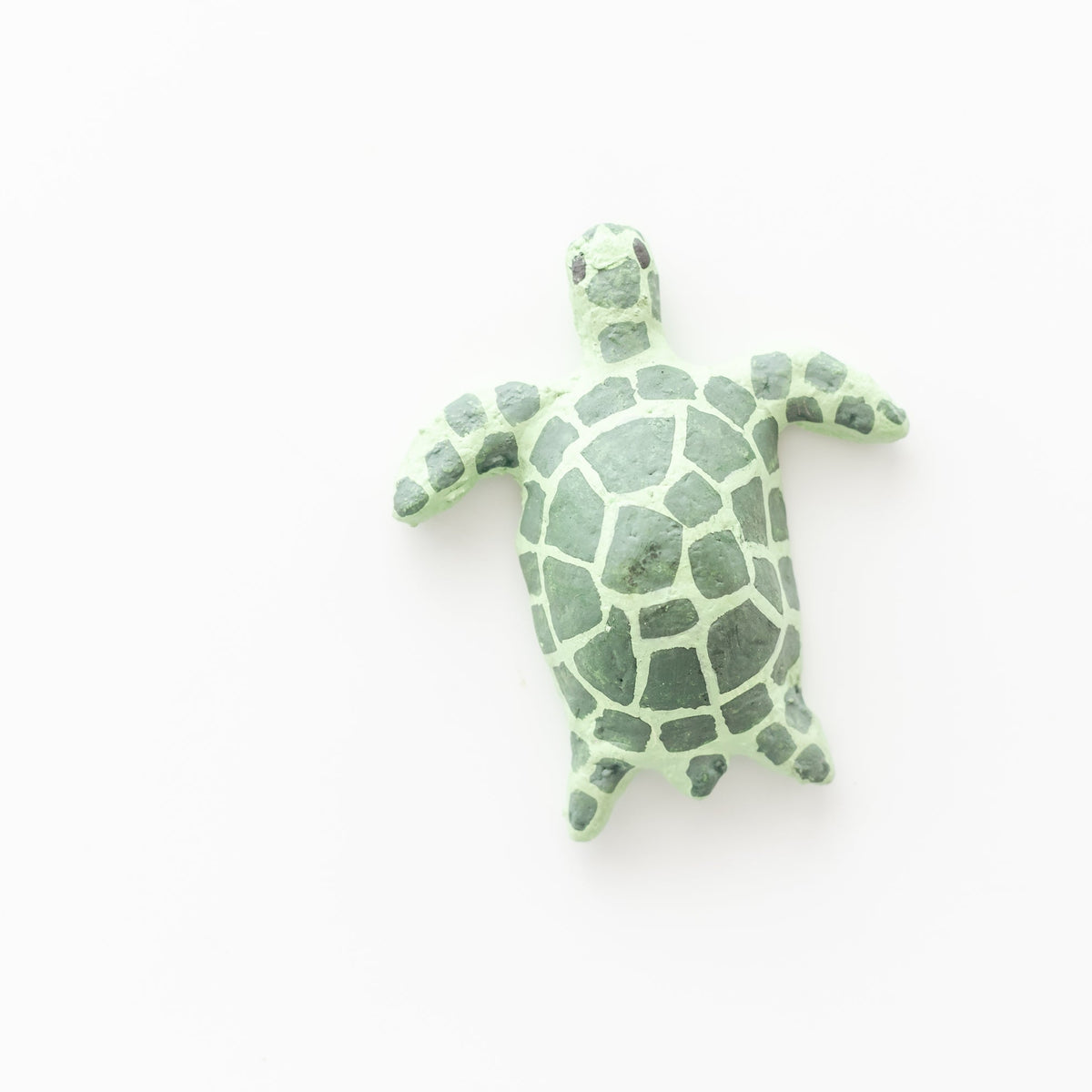 Small Sea Turtle