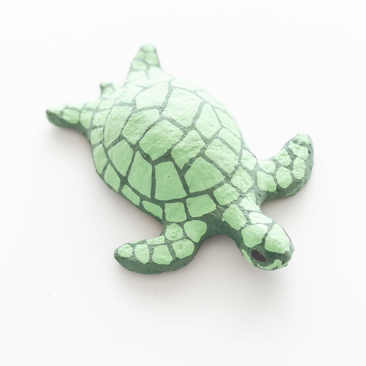 Large Sea Turtle