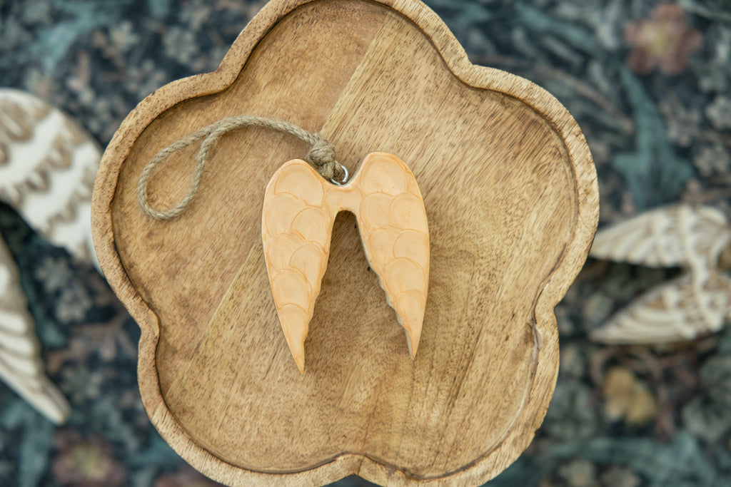 Heaven's Grace Angel Wing Ornament-Small Peach