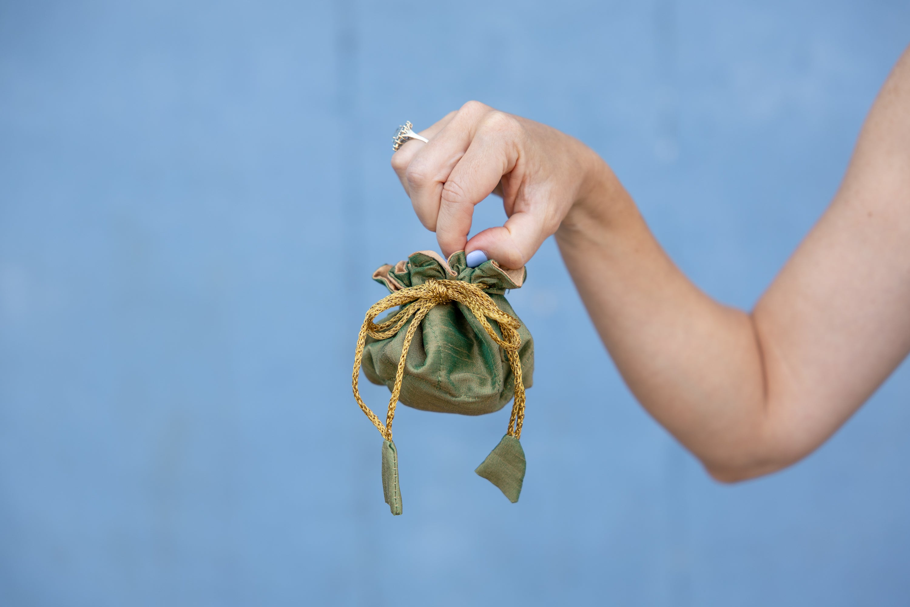 Moss/Champagne Travel Jewelry Bag-Small