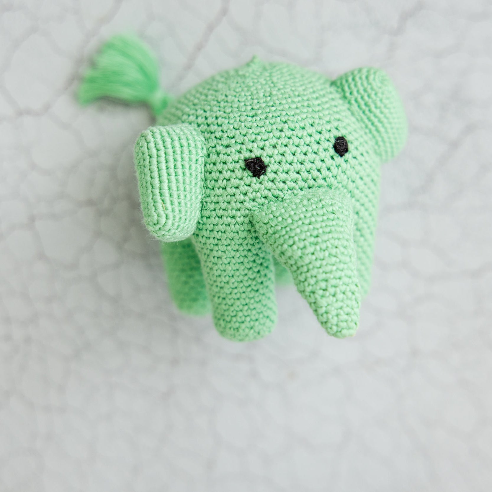Kavi the Elephant