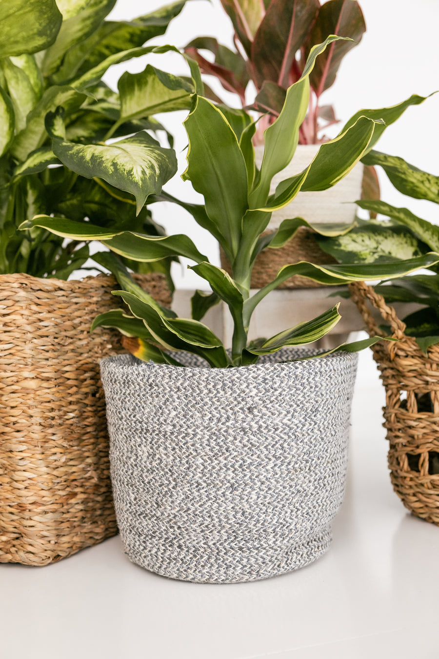 White and Sky Blue Planter