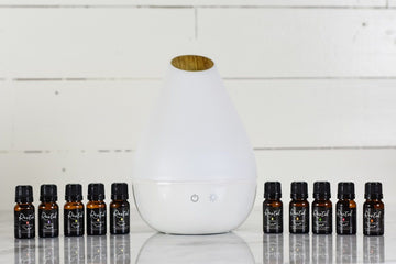 Premium Essential Oil Singles Bundle